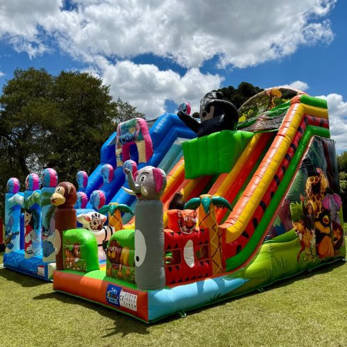 WhatsApp Image 2025-10-29 at 21.21.49